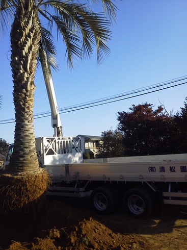 20120115_4f12b935ab883.JPG
