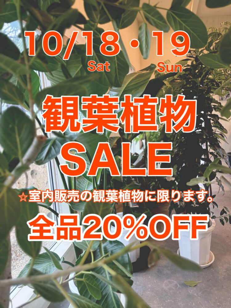 SALE