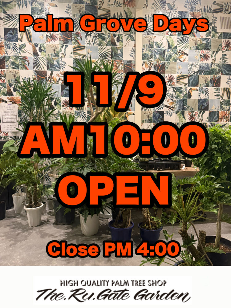 11/9 Palm Grove Days