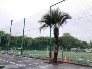 ふじみ野市リアリスタふじみ野 ココスヤシ植栽／赤砂利