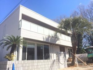 深谷市内ココスヤシ植栽