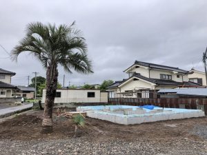 長野県佐久市内 ココスヤシ・ソテツ・ロストラータ植栽