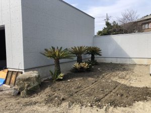 寄居町内　ソテツ植栽　溶岩景石