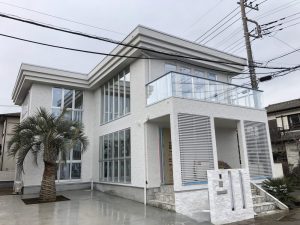 蓮田市内　ココスヤシ・チャメロップス植栽