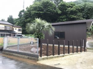 秩父市内　ココスヤシ植栽