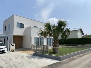 茨城県結城市内　オニサバルヤシ植栽