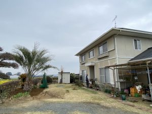 太田市内　ココスヤシ・ソテツ植栽