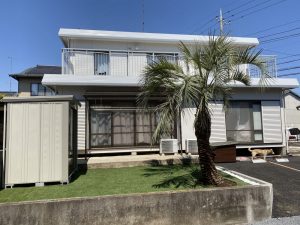 小山市内　ココスヤシ・ソテツ植栽