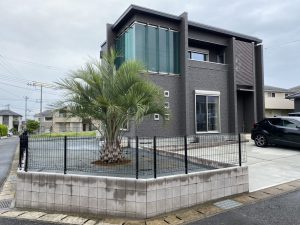 木更津市内　ココスヤシ植栽