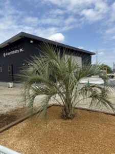 ココスヤシ植栽　枕木　砂利敷き