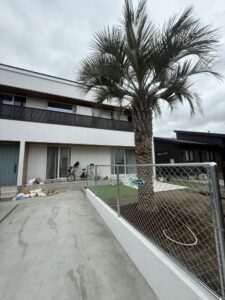 滑川町内　ココスヤシ植栽
