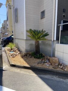 川口市内　ドライガーデン　ソテツ　ロストラータ植栽