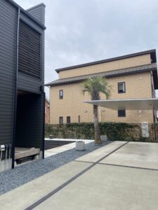 飯能市内　ココスヤシ植栽