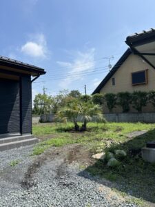 玉村町内　ココスヤシ植栽