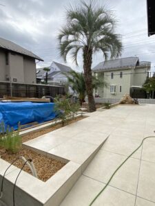 行田市　カナリーヤシ　ココスヤシその他植栽　サンゴ石