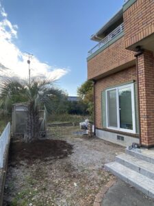 熊谷市内　ココスヤシ植栽